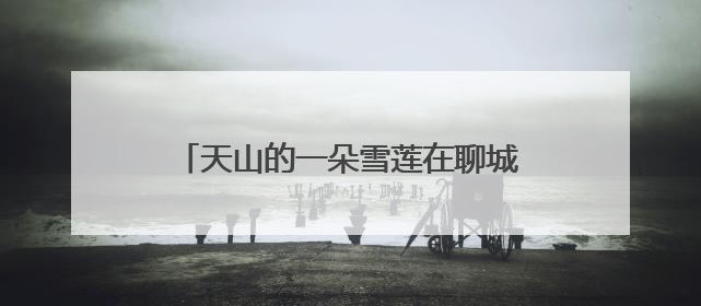 天山的一朵雪莲在聊城灿烂绽放——记全国文明家庭“詹春芳家庭”