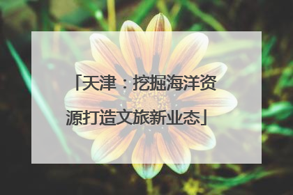 天津：挖掘海洋资源打造文旅新业态