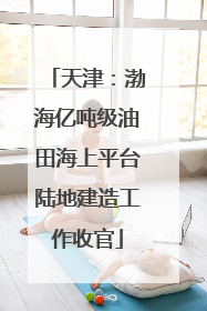 天津：渤海亿吨级油田海上平台陆地建造工作收官