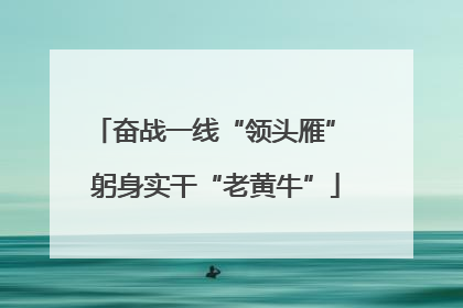 奋战一线“领头雁” 躬身实干“老黄牛”