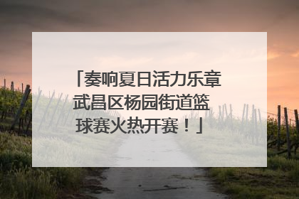 奏响夏日活力乐章 武昌区杨园街道篮球赛火热开赛！