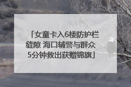 女童卡入6楼防护栏缝隙 海口辅警与群众5分钟救出获赠锦旗