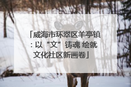 威海市环翠区羊亭镇：以“文”铸魂 绘就文化社区新画卷