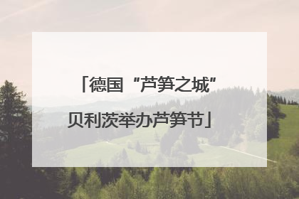 德国“芦笋之城”贝利茨举办芦笋节