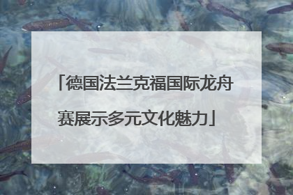 德国法兰克福国际龙舟赛展示多元文化魅力