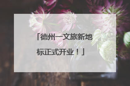 德州一文旅新地标正式开业！