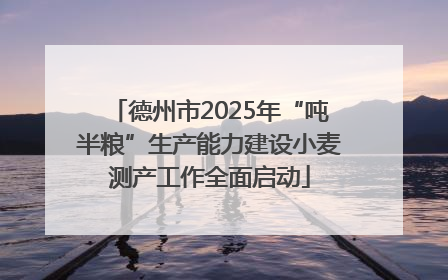 德州市2025年“吨半粮”生产能力建设小麦测产工作全面启动