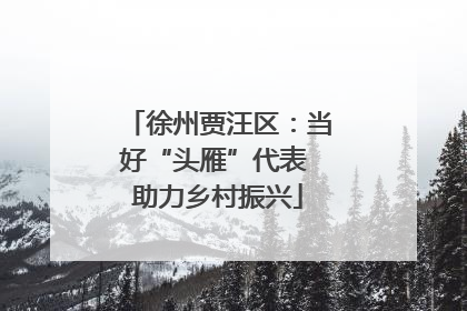 徐州贾汪区：当好“头雁”代表 助力乡村振兴