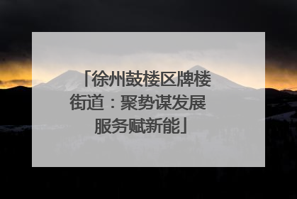 徐州鼓楼区牌楼街道：聚势谋发展 服务赋新能