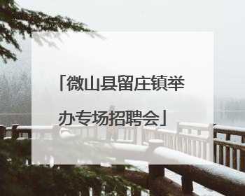 微山县留庄镇举办专场招聘会