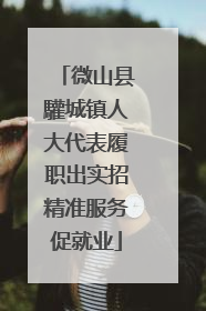 微山县驩城镇人大代表履职出实招精准服务促就业