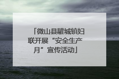 微山县驩城镇妇联开展“安全生产月”宣传活动