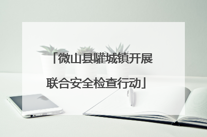 微山县驩城镇开展联合安全检查行动