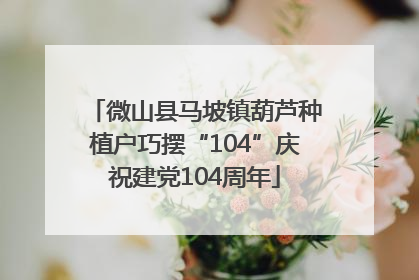 微山县马坡镇葫芦种植户巧摆“104”庆祝建党104周年