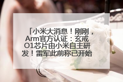 小米大消息！刚刚，Arm官方认证：玄戒O1芯片由小米自主研发！雷军此前称已开始大规模量产