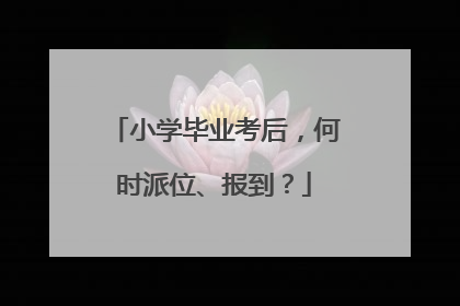 小学毕业考后，何时派位、报到？