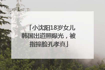 小沈阳18岁女儿韩国出道照曝光，被指撞脸孔孝真