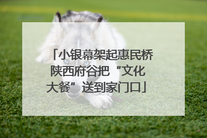 小银幕架起惠民桥 陕西府谷把“文化大餐”送到家门口