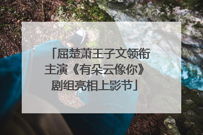 屈楚萧王子文领衔主演《有朵云像你》剧组亮相上影节