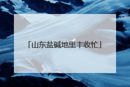 山东盐碱地里丰收忙