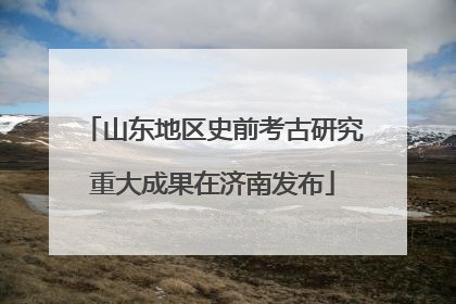 山东地区史前考古研究重大成果在济南发布