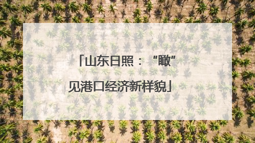 山东日照：“瞰”见港口经济新样貌