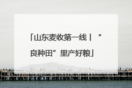 山东麦收第一线丨“良种田”里产好粮