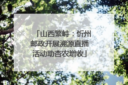 山西繁峙：忻州邮政开展溯源直播活动助杏农增收
