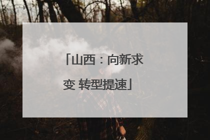 山西：向新求变 转型提速