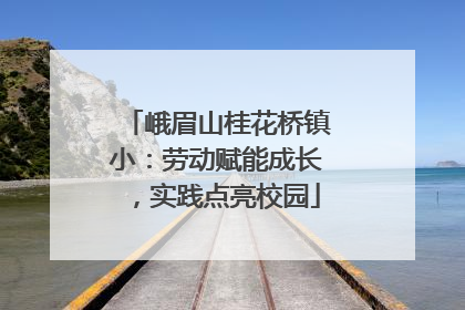 峨眉山桂花桥镇小：劳动赋能成长，实践点亮校园