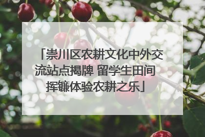 崇川区农耕文化中外交流站点揭牌 留学生田间挥镰体验农耕之乐