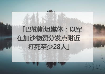 巴勒斯坦媒体：以军在加沙物资分发点附近打死至少28人