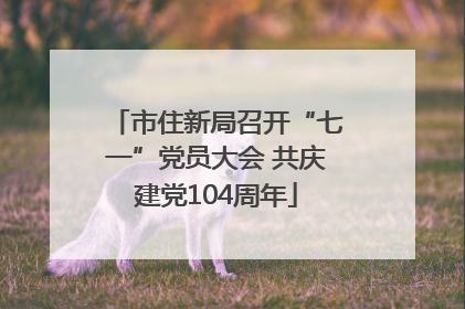 市住新局召开“七一”党员大会 共庆建党104周年