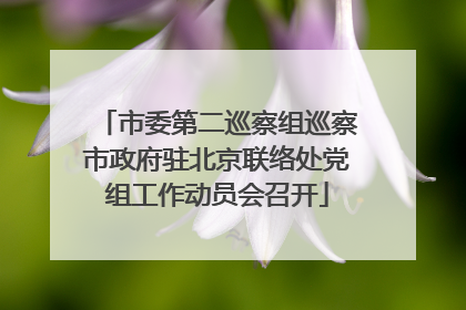 市委第二巡察组巡察市政府驻北京联络处党组工作动员会召开