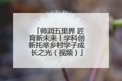 师润五里界 匠育新未来丨学科创新托举乡村学子成长之光（视频）