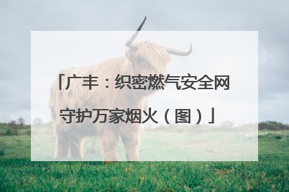 广丰：织密燃气安全网 守护万家烟火（图）