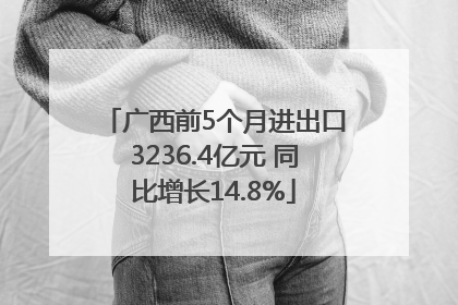 广西前5个月进出口3236.4亿元 同比增长14.8%
