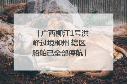 广西柳江1号洪峰过境柳州 辖区船舶已全部停航