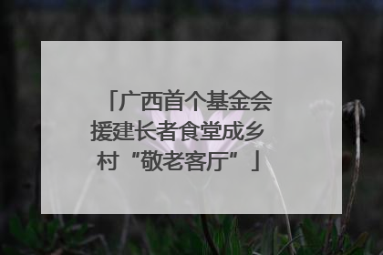 广西首个基金会援建长者食堂成乡村“敬老客厅”