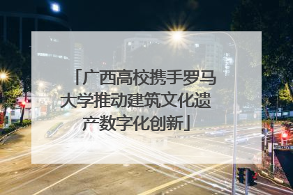 广西高校携手罗马大学推动建筑文化遗产数字化创新