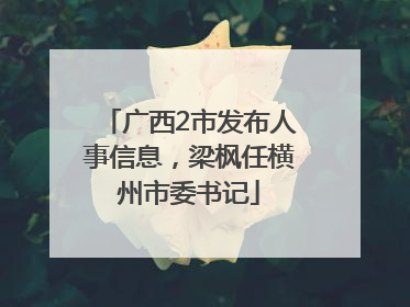广西2市发布人事信息，梁枫任横州市委书记