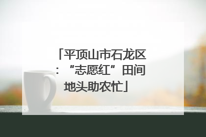 平顶山市石龙区：“志愿红”田间地头助农忙