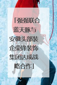 强强联合 蓝天豚与安徽头部装企荣锋装饰集团达成战略合作