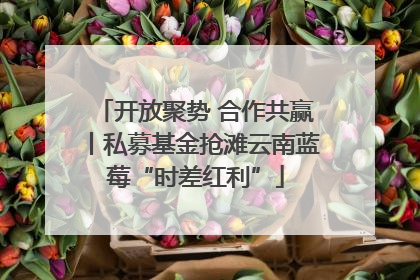 开放聚势 合作共赢丨私募基金抢滩云南蓝莓“时差红利”