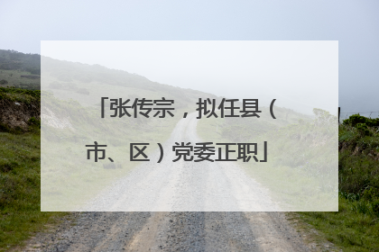 张传宗，拟任县（市、区）党委正职