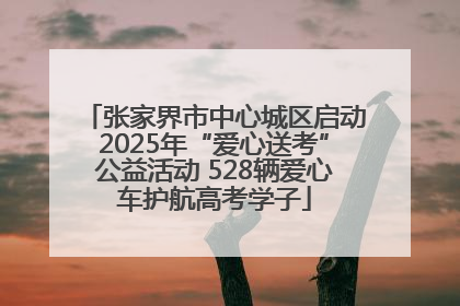张家界市中心城区启动2025年“爱心送考”公益活动 528辆爱心车护航高考学子