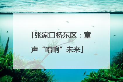 张家口桥东区：童声“唱响”未来