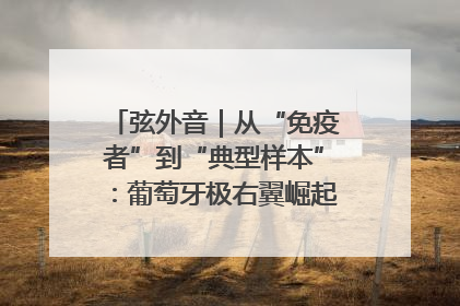 弦外音｜从“免疫者”到“典型样本”：葡萄牙极右翼崛起背后的欧洲困局