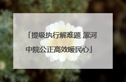 提级执行解难题 漯河中院公正高效暖民心