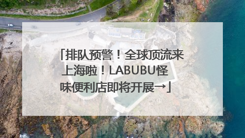 排队预警！全球顶流来上海啦！LABUBU怪味便利店即将开展→